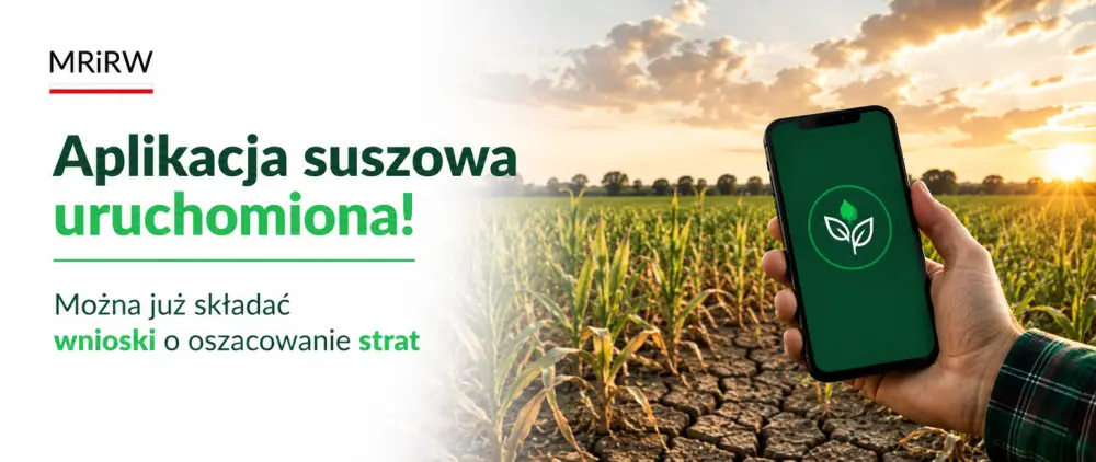 Producenci rolni mogą składać wnioski w aplikacji dotyczącej oszacowania strat suszowych